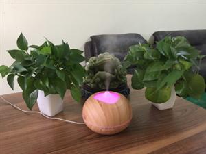 香薰機(jī)\加濕器\精油霧化機(jī)新品上市